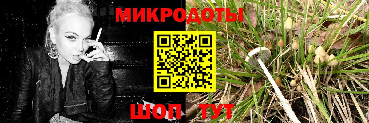 Псилоцибиновые грибы мухоморы Крымск